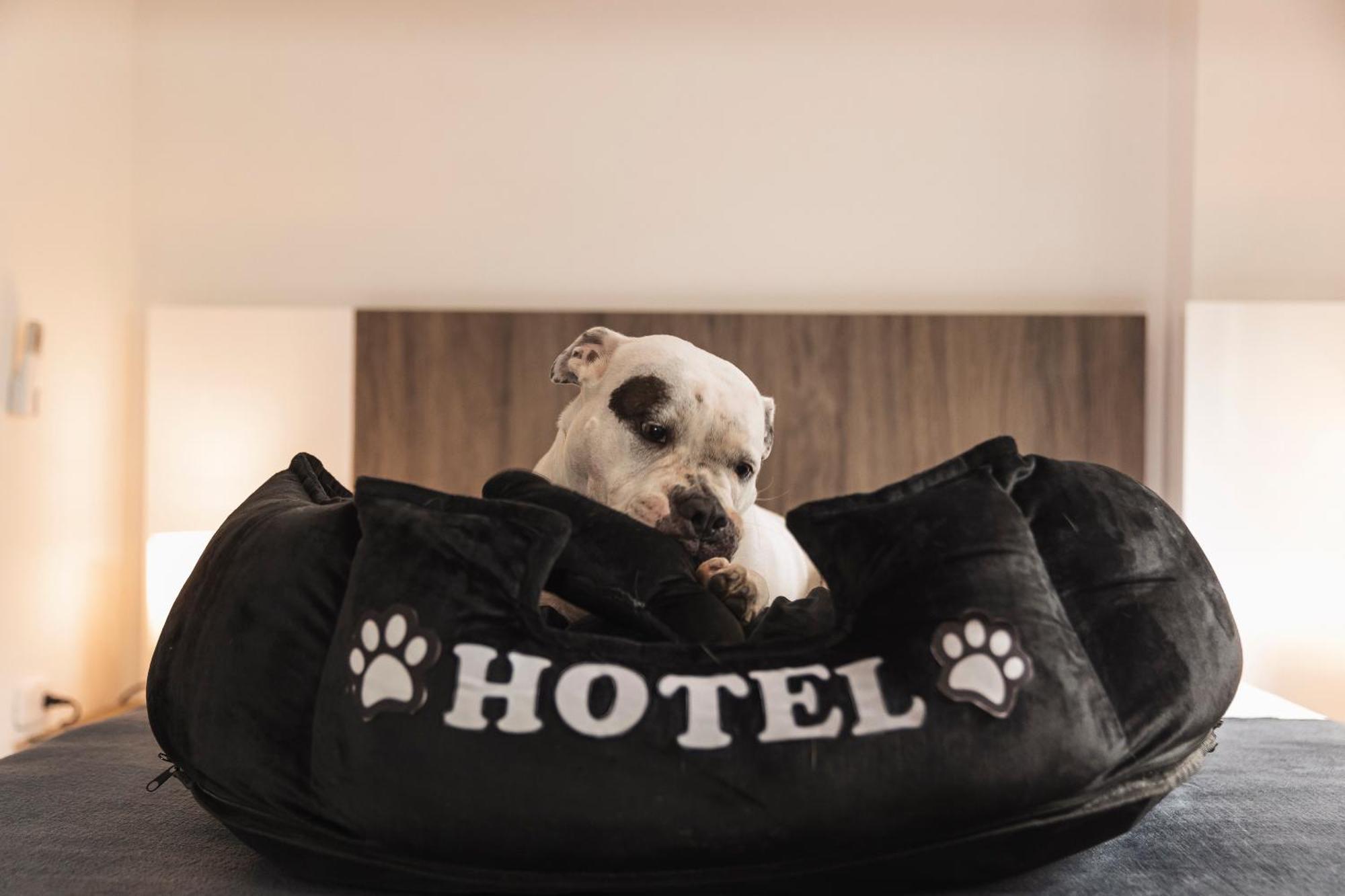 Hotel Boutique Bussines Center กาลี ภายนอก รูปภาพ