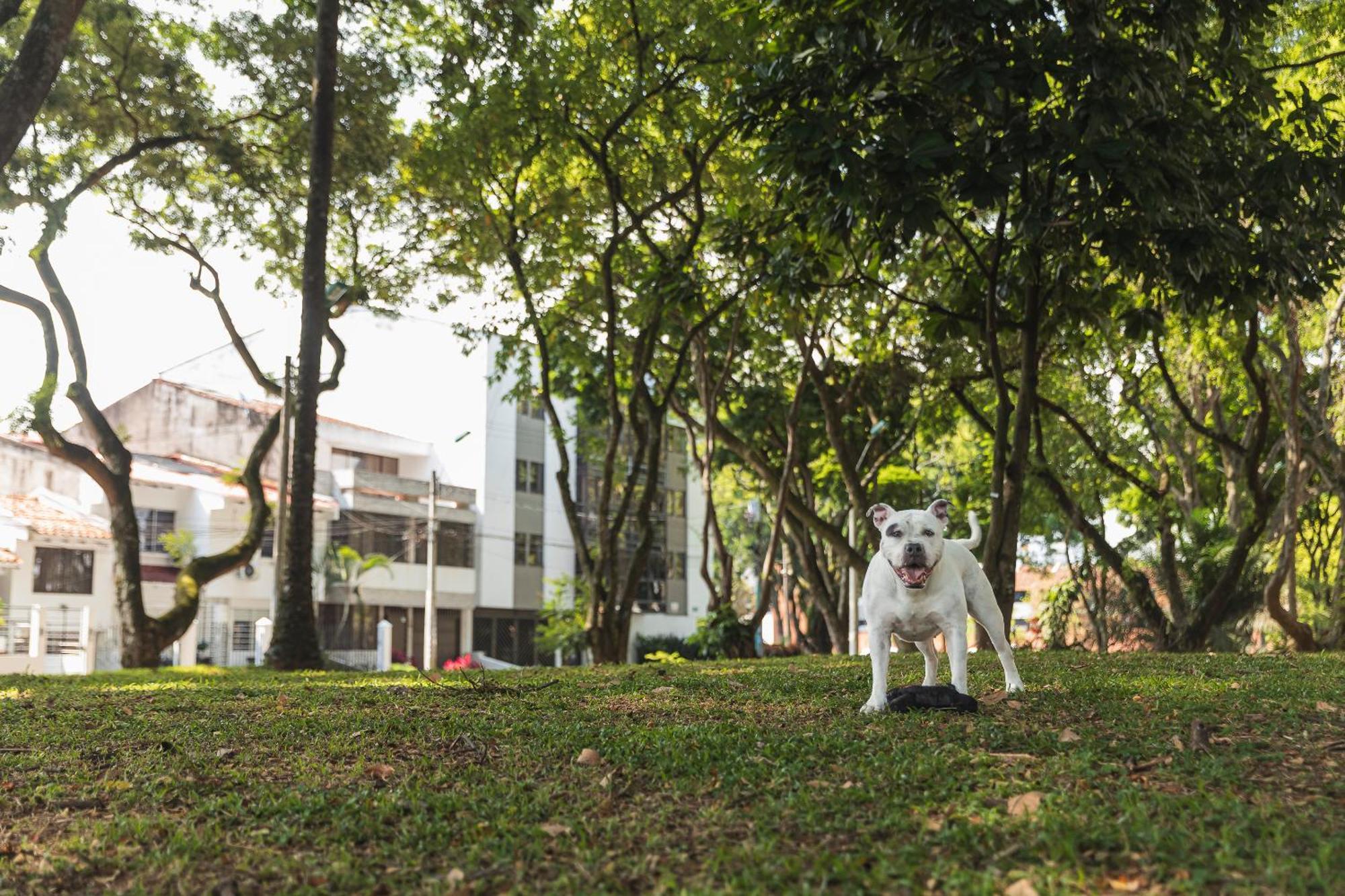 Hotel Boutique Bussines Center กาลี ภายนอก รูปภาพ